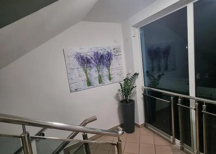 Nevada Alloggio in famiglia Gdynia